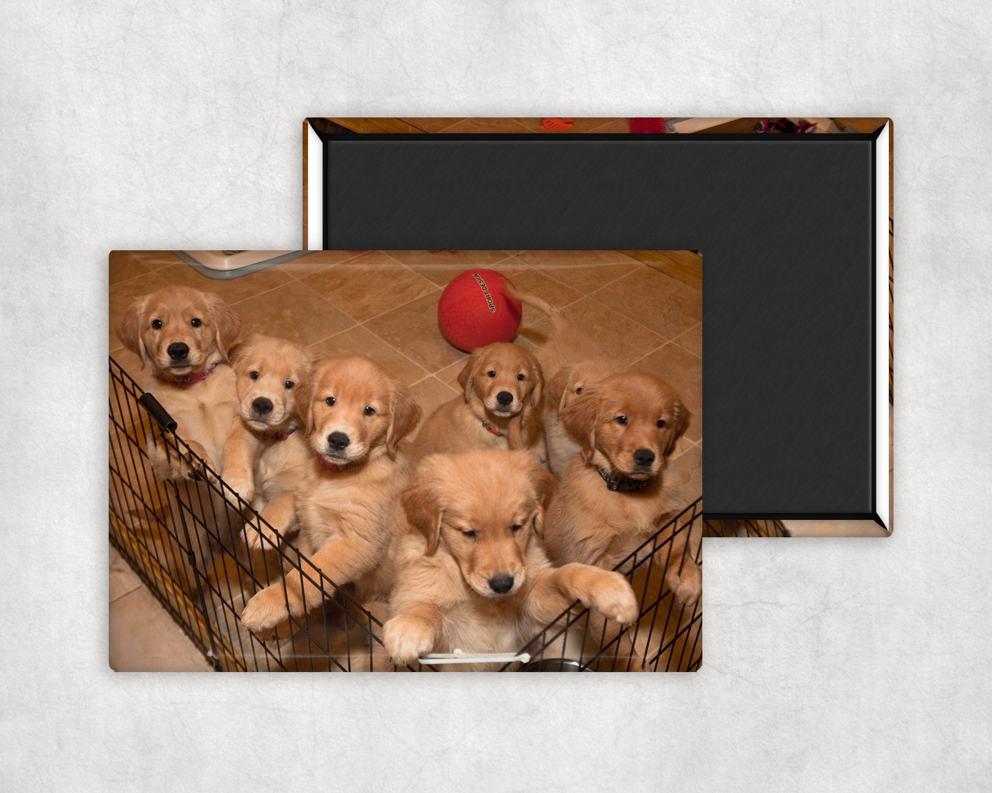 Custom Photo Magnets